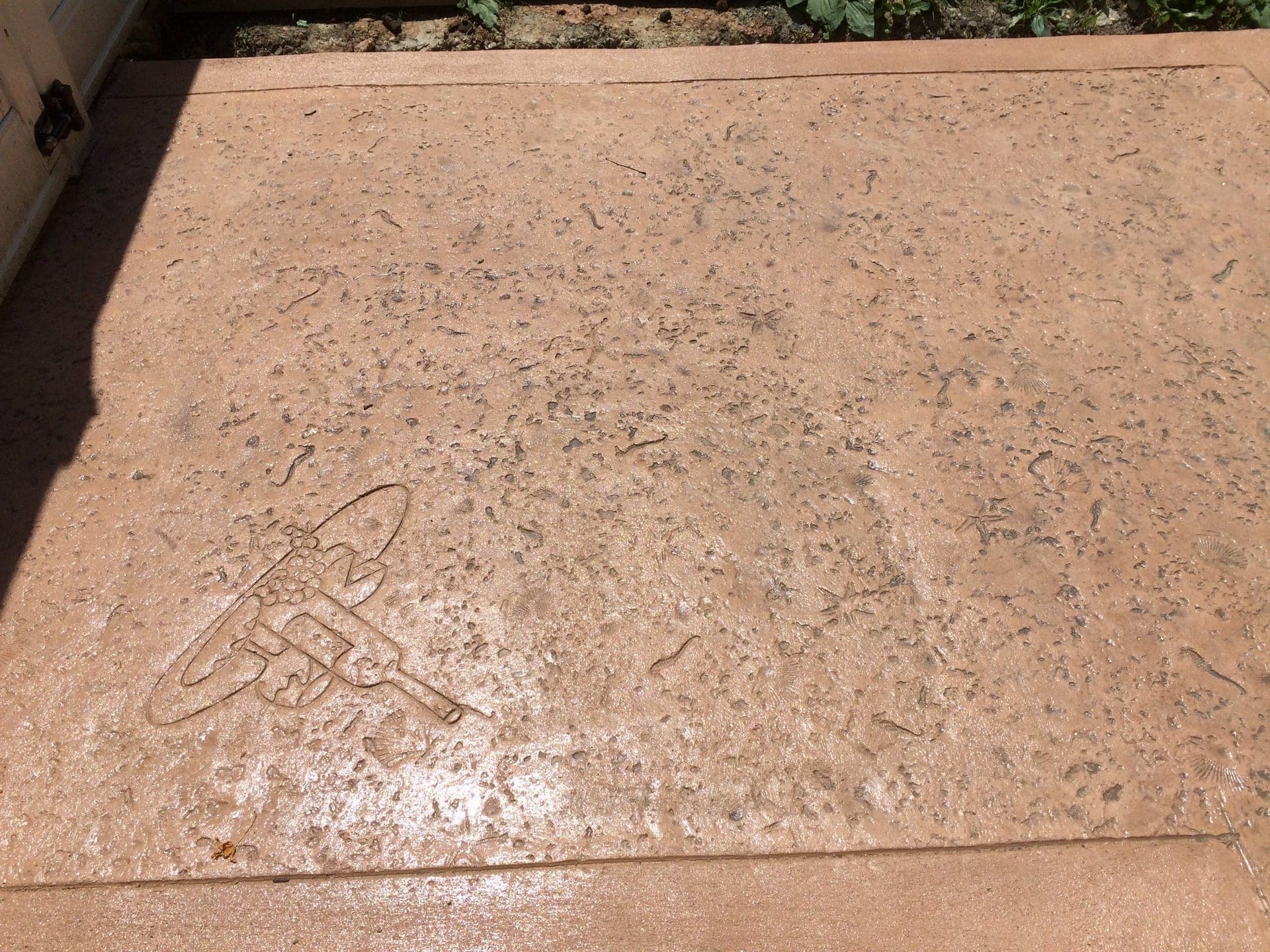 Sea Shells stamped concrete pattern